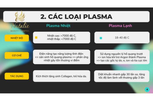 bài website 3 (3)